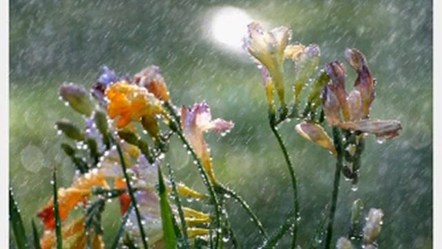 Храни Господь смотреть онлайн