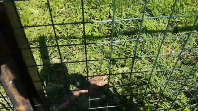 Как натянуть и Чем закрепить сетку на забор смотреть онлайн