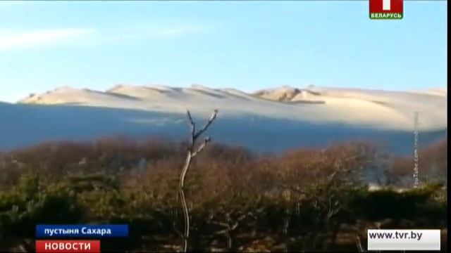 В пустыне Сахара выпал снег смотреть онлайн