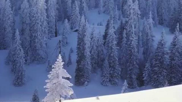 Стихотворение 'Волшебный лес' смотреть онлайн