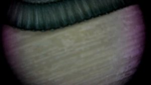 Чистим горячую GTX 1080 Ti Founders Edition