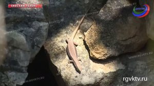 Удивительный памятник природы! Нерукотворный «Эолов город» включен в турмаршрут «Шелковый путь»