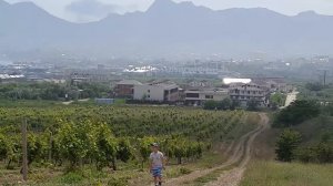 Мы в Коктебеле  Лето  Море  Академия TDVS 2016