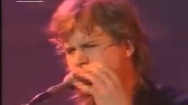 Jeff Healey Band - 