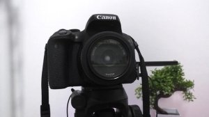 6 месяцев с Canon EOS 800d ► опыт использования