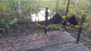 "Смертельный удар". Первая серия.