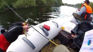 Щупаки сгрызли воблеры! ТОП-3 воблеров на щуку