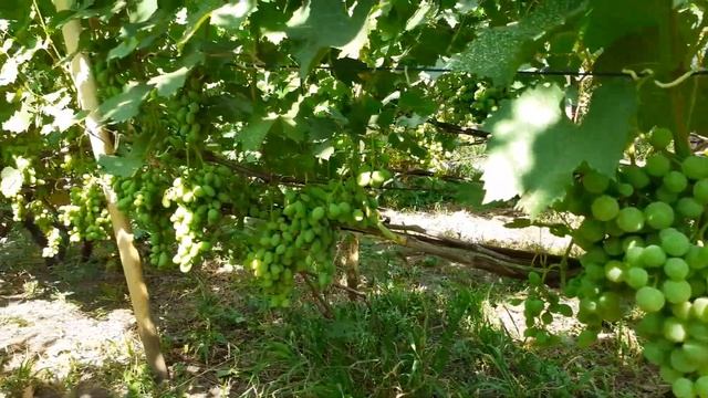 ДТ 75 сборка бортовой смотреть онлайн