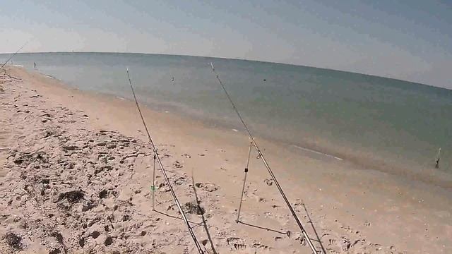 Ловля пеленгаса кефали в сентябре смотреть онлайн