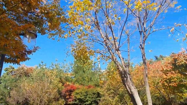 Let's go to Mr. Toilet House!| Museum in Suwon South Korea ?? смотреть онлайн