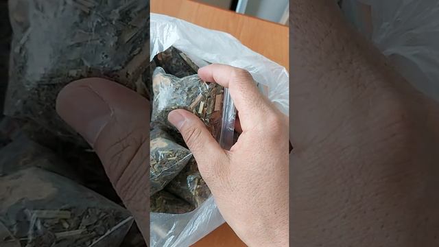 🌿ЕР АЗАМАТТАРДЫҢ ЖЫНЫСТЫҚ ҚАБЫЛЕТІН КҮШЕЙТЕТІН & ҰРЫҚТЫ КӨБЕЙТЕТІН ШӨП ДӘРІЛЕР смотреть онлайн