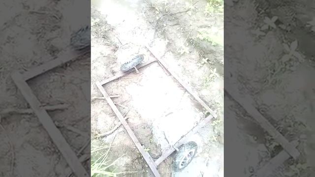 Рама для трицикла смотреть онлайн