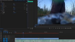 Как сделать приглушенный звук в Adobe Premiere Pro 2019
