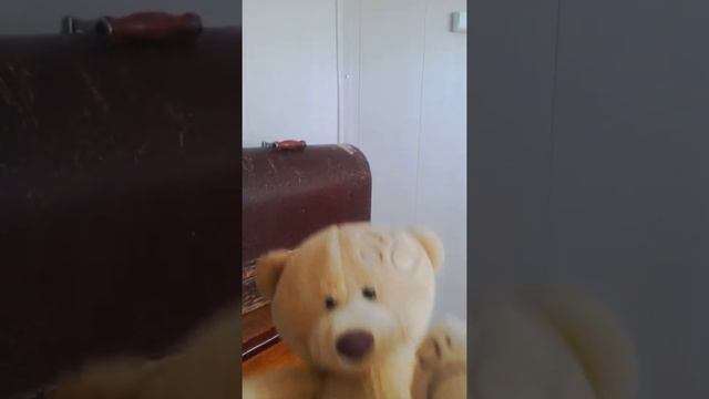 Извините упаду...!!! Видео. смотреть онлайн