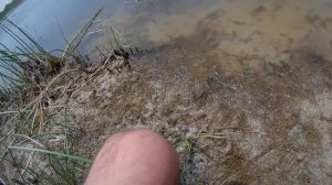 Ловля змееголова. Узбекистан / Catching snakehead. Uzbekistan