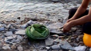 Братское море. Часть 1. Рыбалка