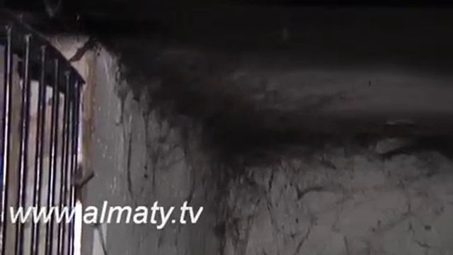 ДОМ С БЛОХАМИ смотреть онлайн