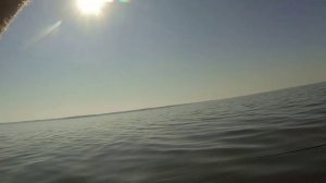 Летняя рыбалка на хищника. Спасаем рыбу из браконьерской сети