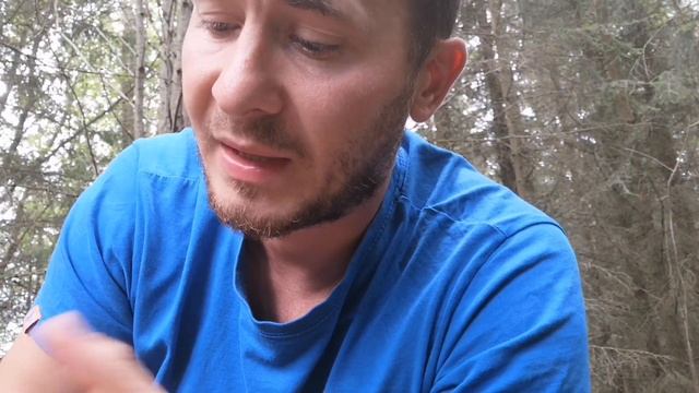 CZARCIE JAJO | Sromotnik Bezwstydny | Phallus impudicus. ZJADAM TRUJACEGO GRZYBA ?? смотреть онлайн