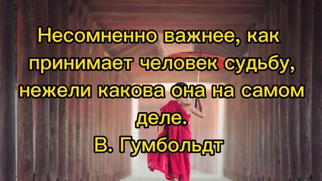 Цитаты про Судьбу... Мудрые мысли Мудрых людей