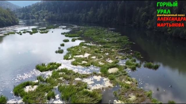 жители города Сим требуют срочно почистить пруд города Сим Горный Урал Александра Мартынова смотреть онлайн