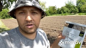 Посев Огурцов