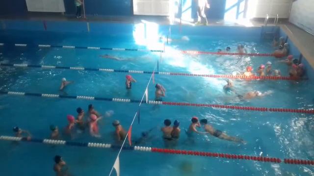 Разминка перед заплывом смотреть онлайн