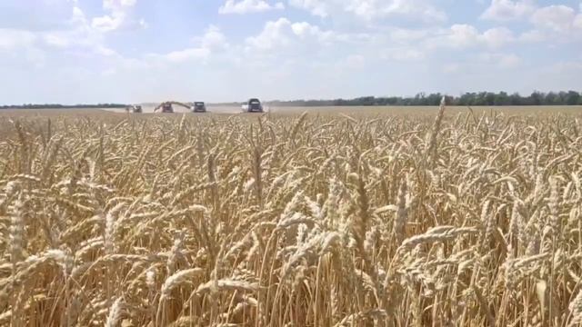 Старт уборки в Азовском районе смотреть онлайн