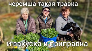 ЧЕРЕМША ТАКАЯ ТРАВКА И ЗАКУСКА И ПРИПРАВКА ..mov