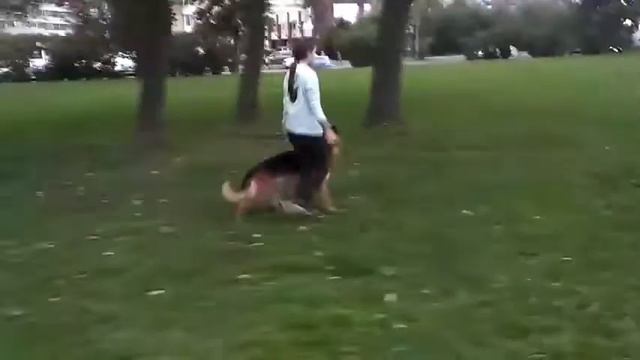 Подготовка к БХ смотреть онлайн