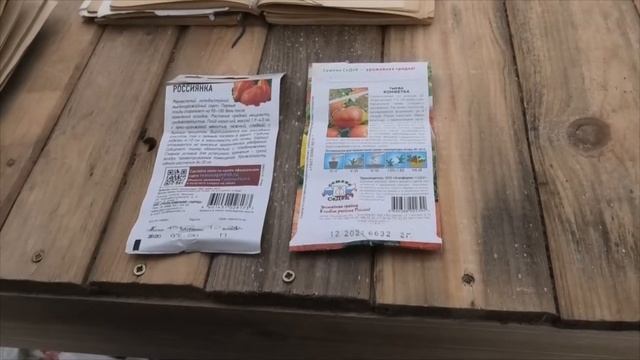 06 05 2021г рассада,выращивание тыквы дача под Архангельском смотреть онлайн