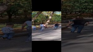 поездка на электрокаре по кисловодскому парку