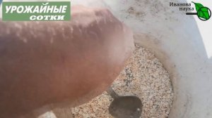 МЫШИ ДОХНУТ ТОЛПАМИ! ОЧЕНЬ ЭФФЕКТИВНЫЙ рецепт средства БЕЗ ШАНСОВ своими руками. Безопасно для коше