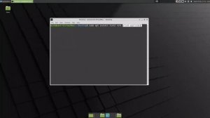 Linux mint with Fluxbox| improving performance (noob friendly)