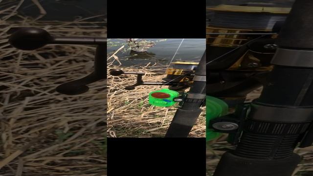 Китайский сигнализатор поклевки смотреть онлайн