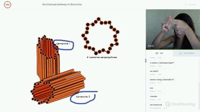 Вебинар по Биологии. Академия Браво смотреть онлайн