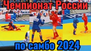 Чемпионат России по самбо 2024 #video #live #sport #самбо #motivation