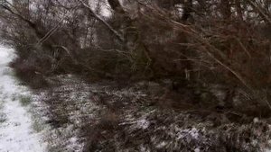 🔴Охота на пушного зверя 2021! Два трофея! #Hunting#!💥