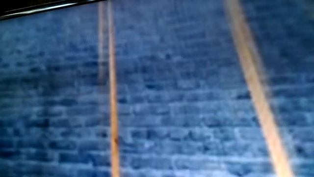 Спасение белки смотреть онлайн