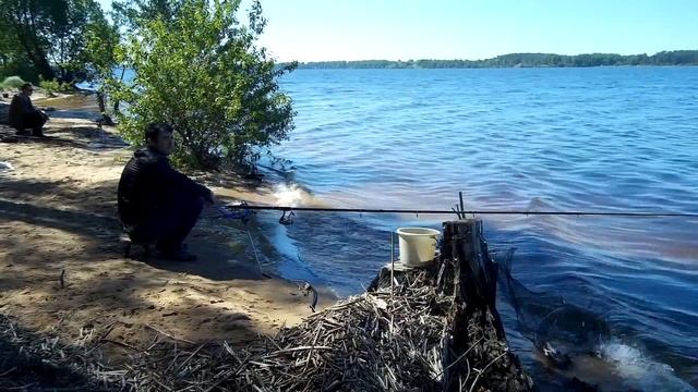 Фидер.Любительская ловля.Переходим на удилище следующего бюджета. смотреть онлайн