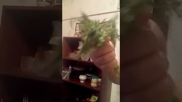 Картофельные драники смотреть онлайн