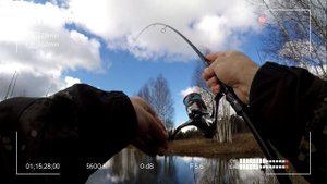 Ловим щуку в луже на спиннинг. Team Dubna Backwater снова в арсенале