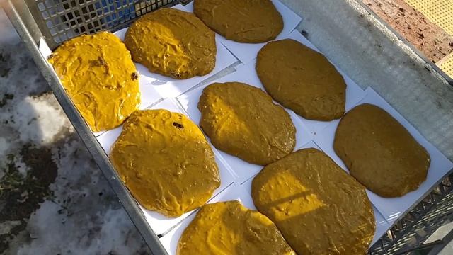 Білкова підгодівля бджолосімей.Белковая подкормка пчелосемей 25.02.2021 смотреть онлайн