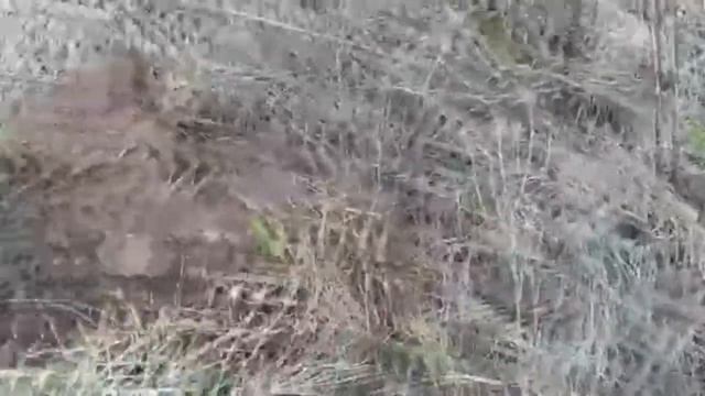 Коп около старой деревни, Николай Первый!!!