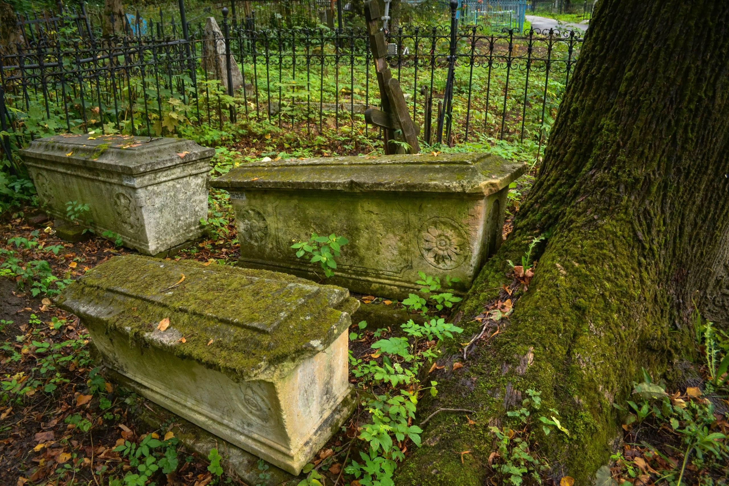 Кладбище старше 200 лет (Всехсвятское)