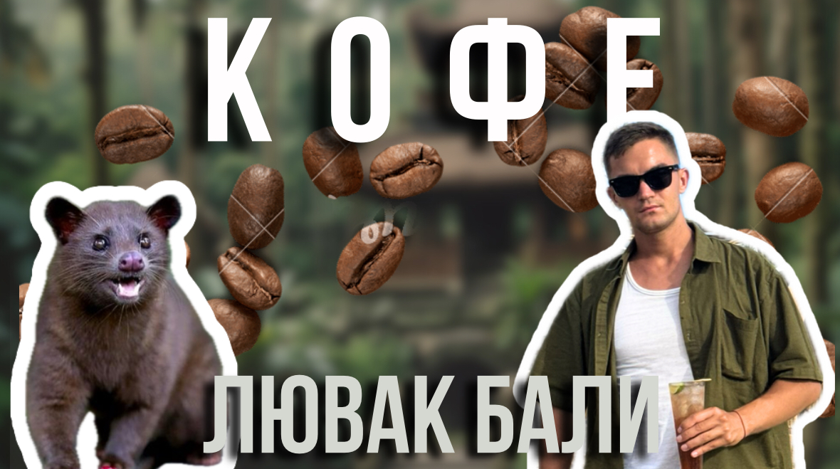 КОФЕ ЛЮВАК |КАК ДОБЫВАЮТ?| БАЛИ