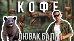 КОФЕ ЛЮВАК |КАК ДОБЫВАЮТ?| БАЛИ