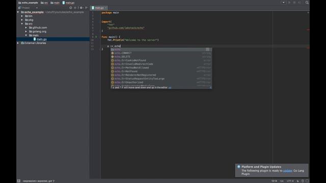Creating Golang WebServer With Echo - Part 1：Project Setup and HelloWorld