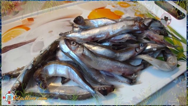 Мойва фото и видео от Petr de Cril’on & SonyKpK смотреть онлайн