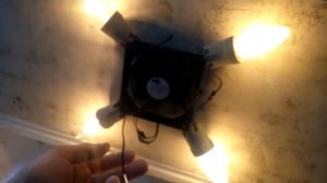 Инкубатор своими руками